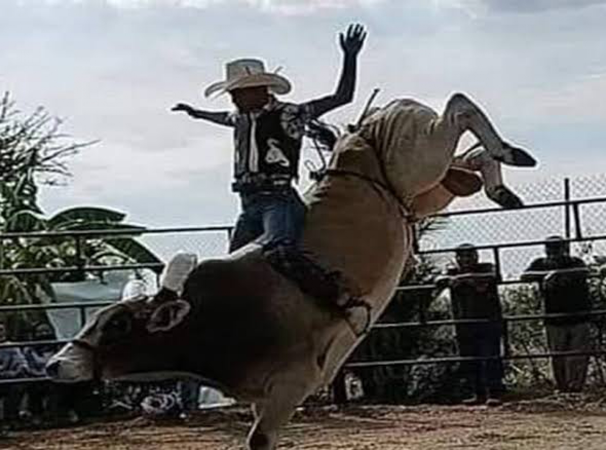 Niños jinetes insisten presentarse en jaripeos 